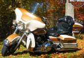 1994 Harley-Davidson Electra Glide Ultra Classic photo